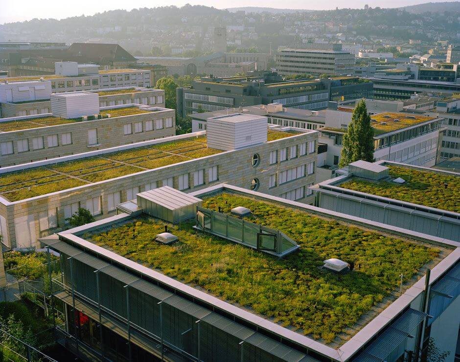 Green Roof System Commercial